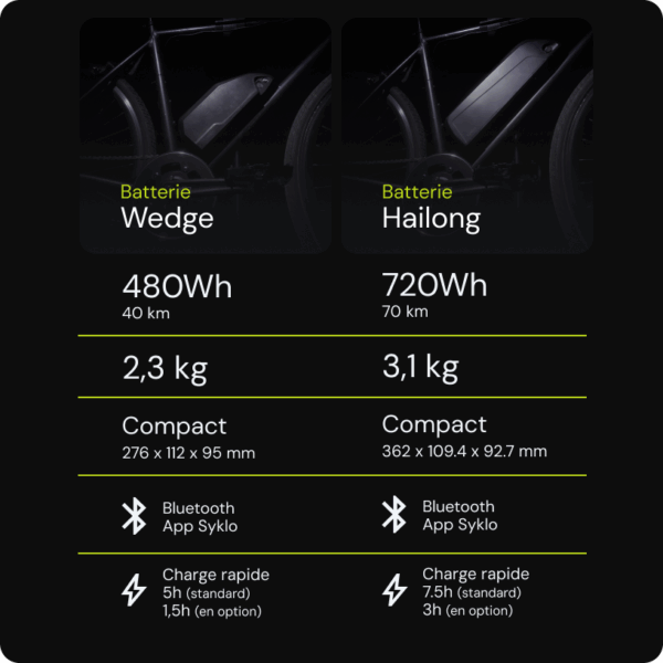 description batterie velo electrique
