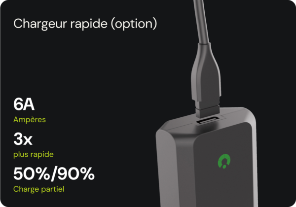48V6A 50/90/100% fast charger - Image 3