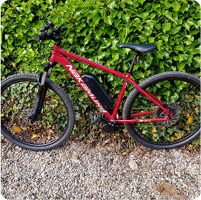 Vélo électrique rouge près d'une haie verte.